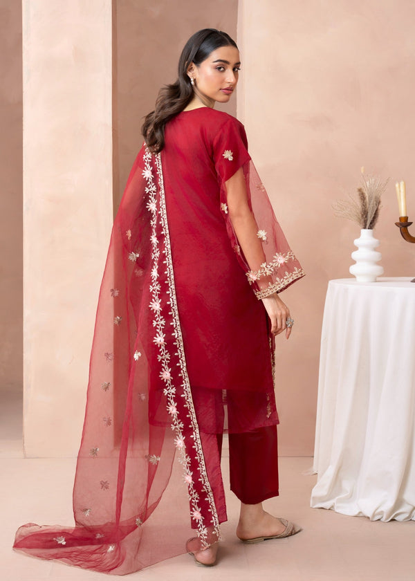 3 Piece Stitched Ladies Dress