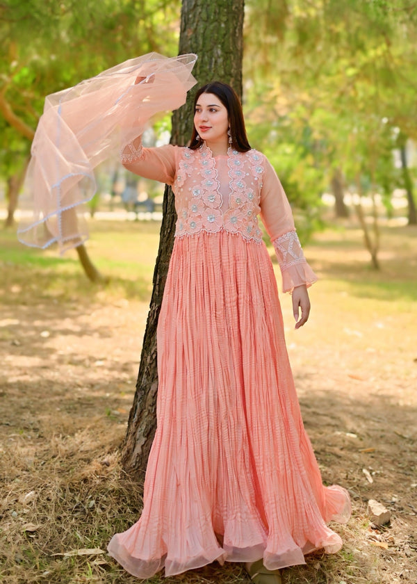 3 Piece Stitched Ladies Dress