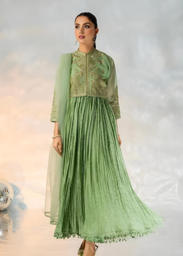 3 Piece Stitched Ladies Dress