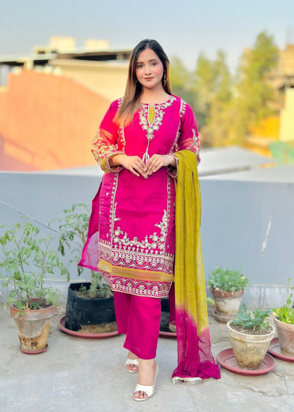 3 Piece Stitched Ladies Dress