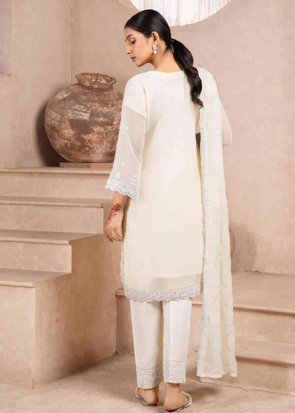 3 Piece Stitched Ladies Dress