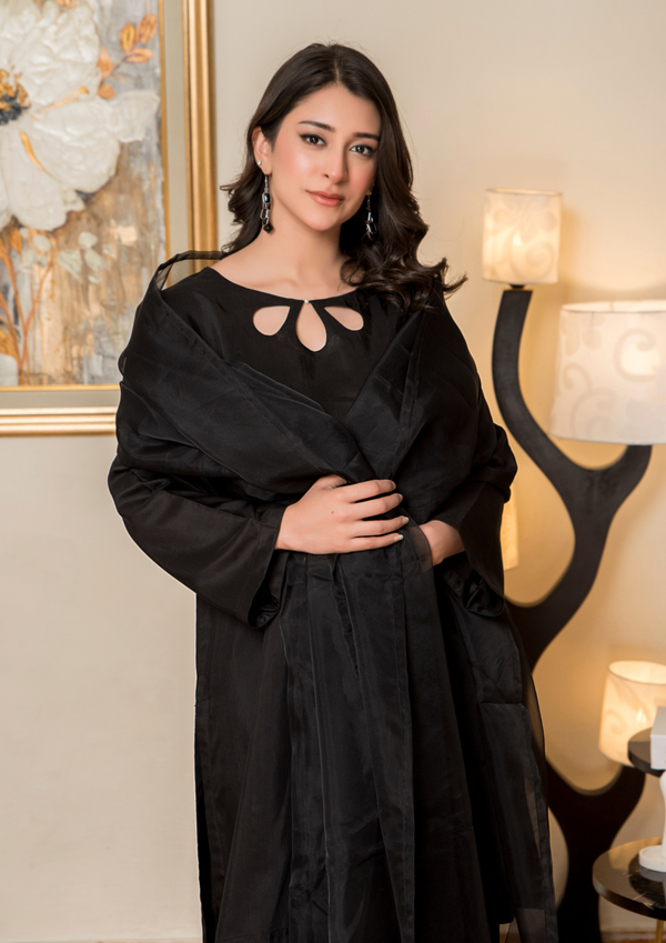 3 Piece Stitched Ladies Dress