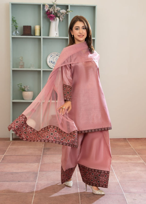 3 Piece Stitched Ladies Dress