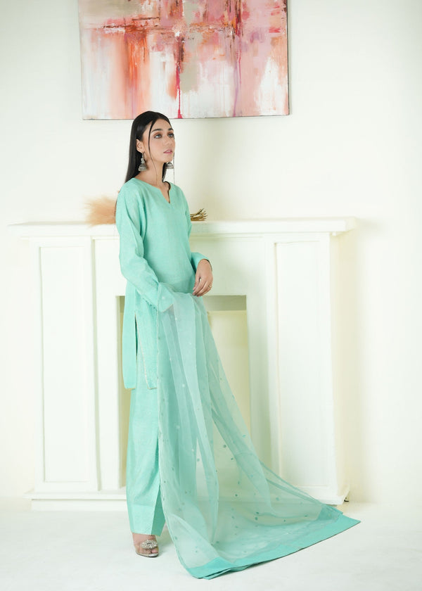 3 Piece Stitched Ladies Dress