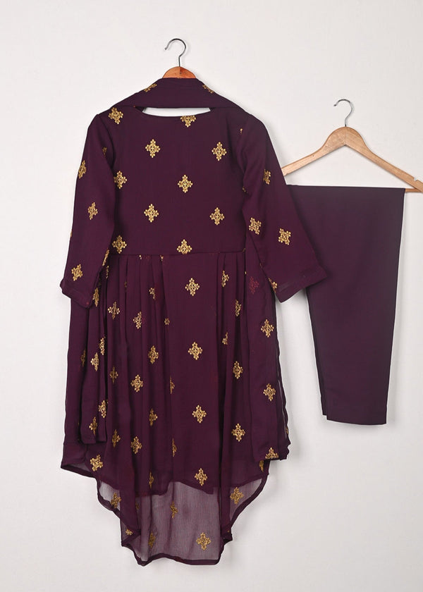 3 Piece Stitched Ladies Dress