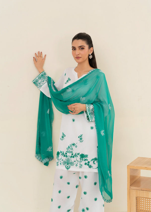 3 Piece Stitched Ladies Dress