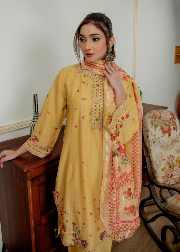 3 Piece Stitched Ladies Dress