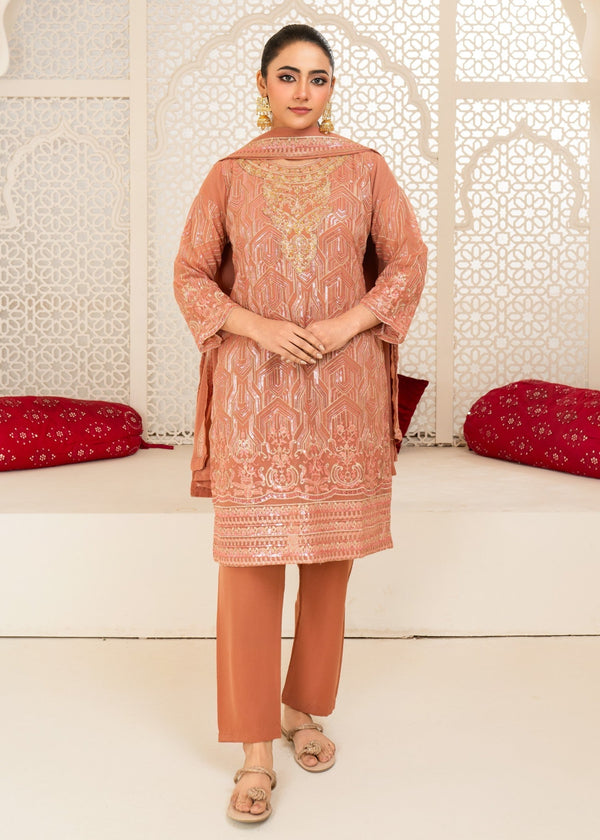 3 Piece Stitched Ladies Dress