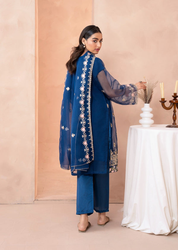 3 Piece Stitched Ladies Dress