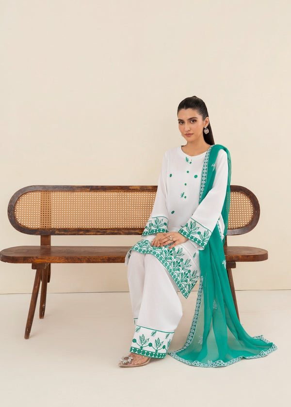 3 Piece Stitched Ladies Dress