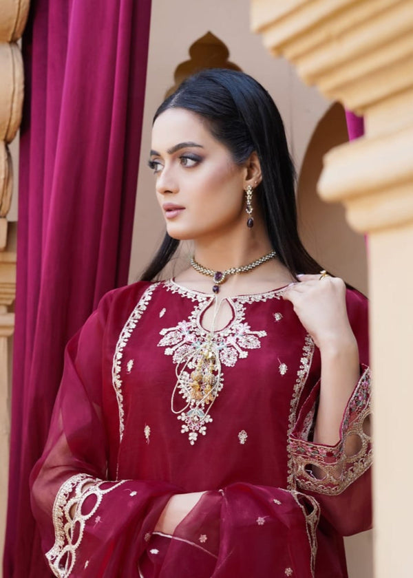 3 Piece Stitched Ladies Dress