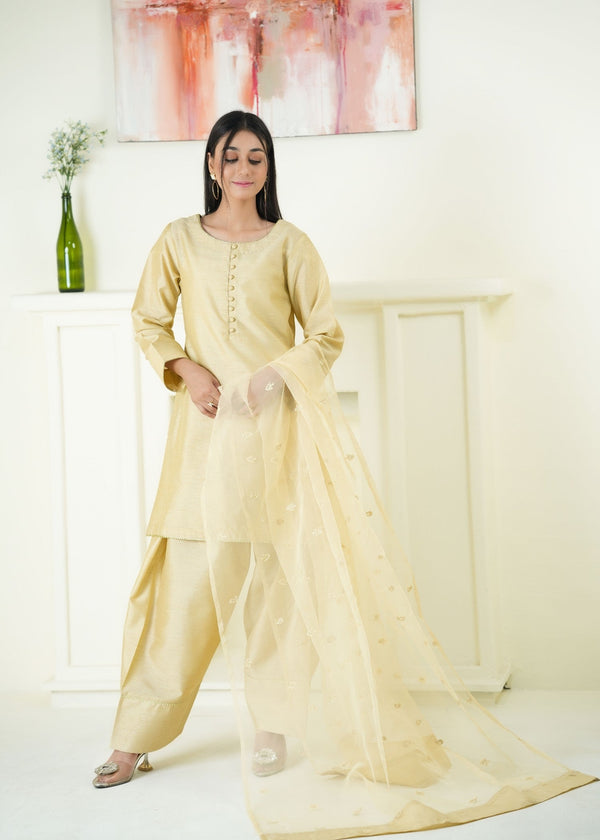 3 Piece Stitched Ladies Dress