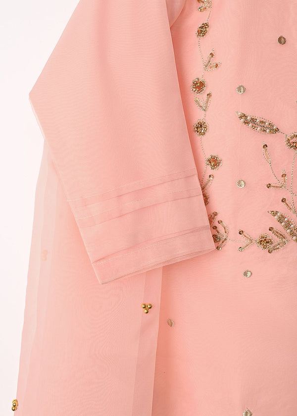 3 Piece Stitched Ladies Dress