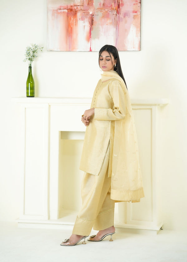 3 Piece Stitched Ladies Dress