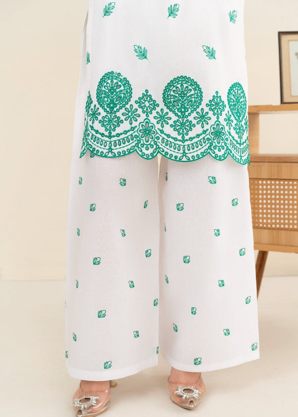 3 Piece Stitched Ladies Dress