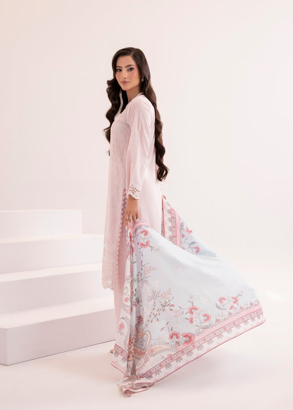 3 Piece Stitched Ladies Dress