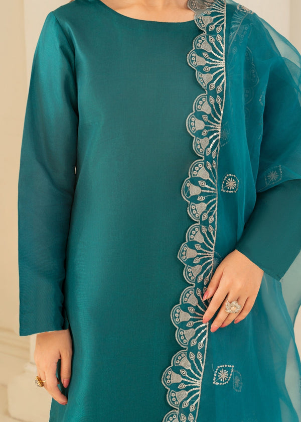 3 Piece Stitched Ladies Dress