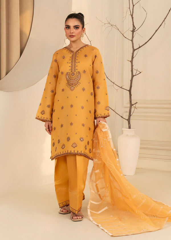 3 Piece Stitched Ladies Dress