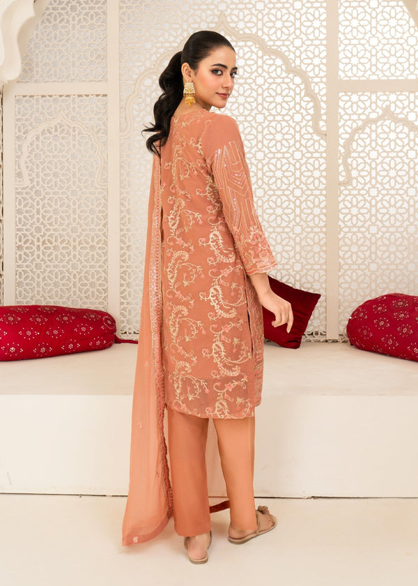 3 Piece Stitched Ladies Dress