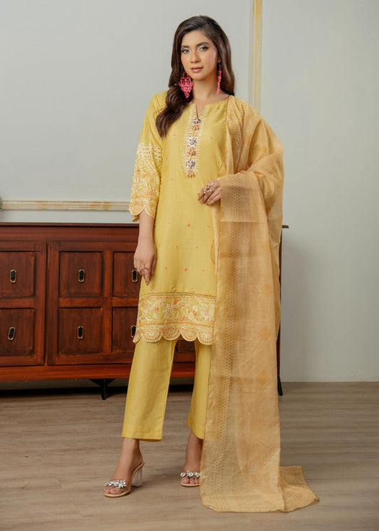 3 Piece Stitched Ladies Dress