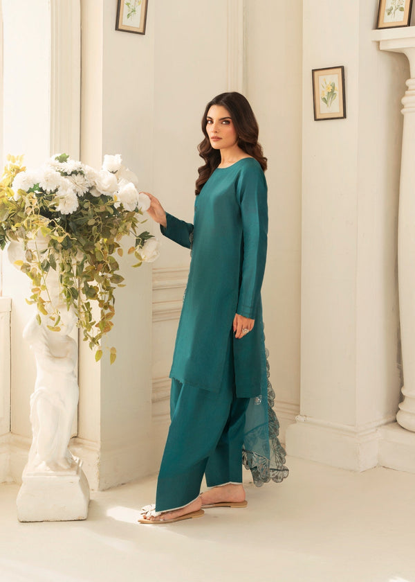 3 Piece Stitched Ladies Dress