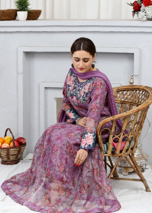 3 Piece Stitched Ladies Dress