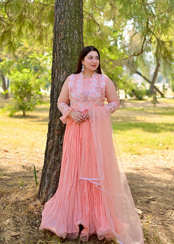 3 Piece Stitched Ladies Dress