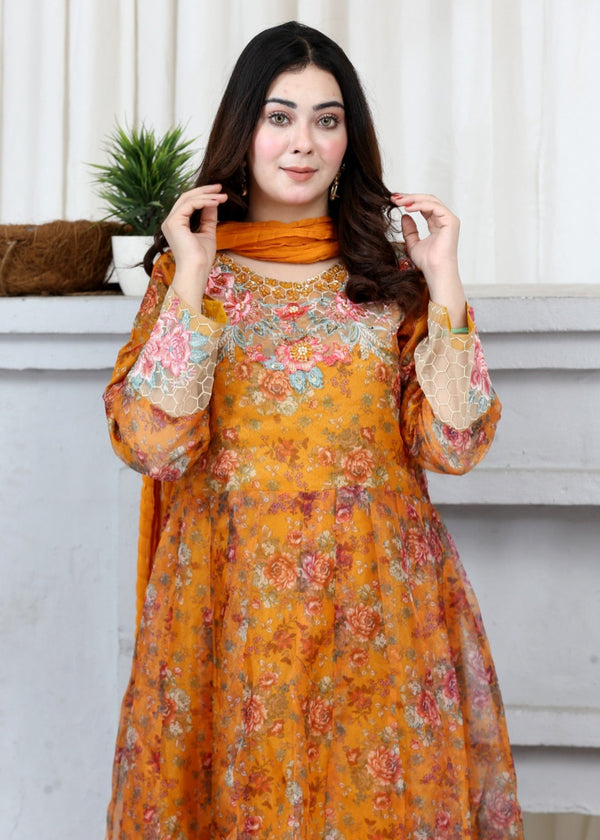 3 Piece Stitched Ladies Dress