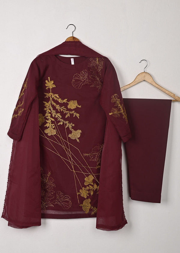 3 Piece Stitched Ladies Dress