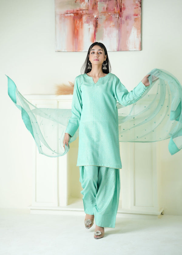 3 Piece Stitched Ladies Dress
