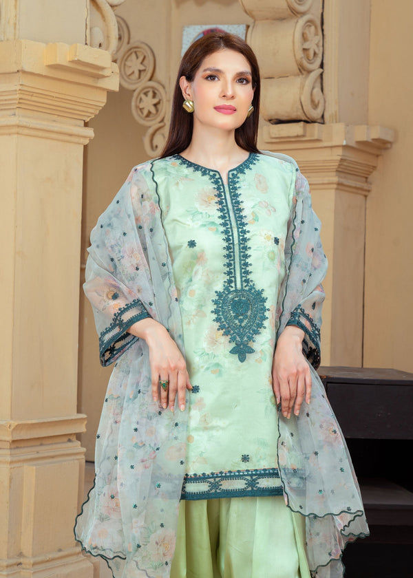 3 Piece Stitched Ladies Dress