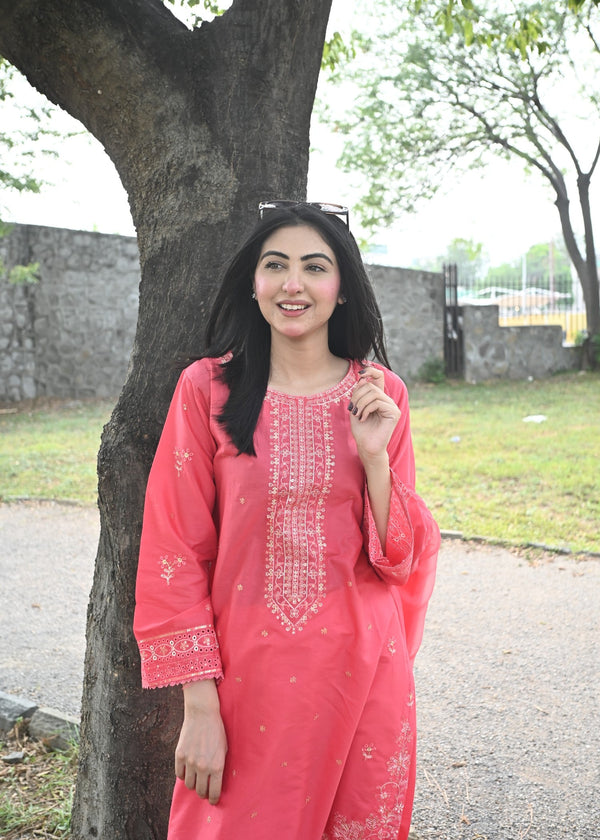 3 Piece Stitched Ladies Dress