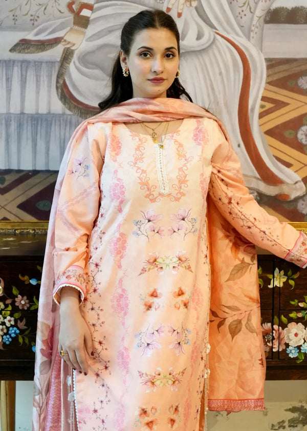 3 Piece Stitched Ladies Dress
