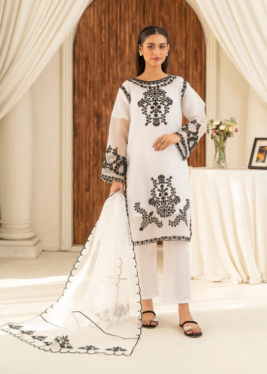 3 Piece Stitched Ladies Dress