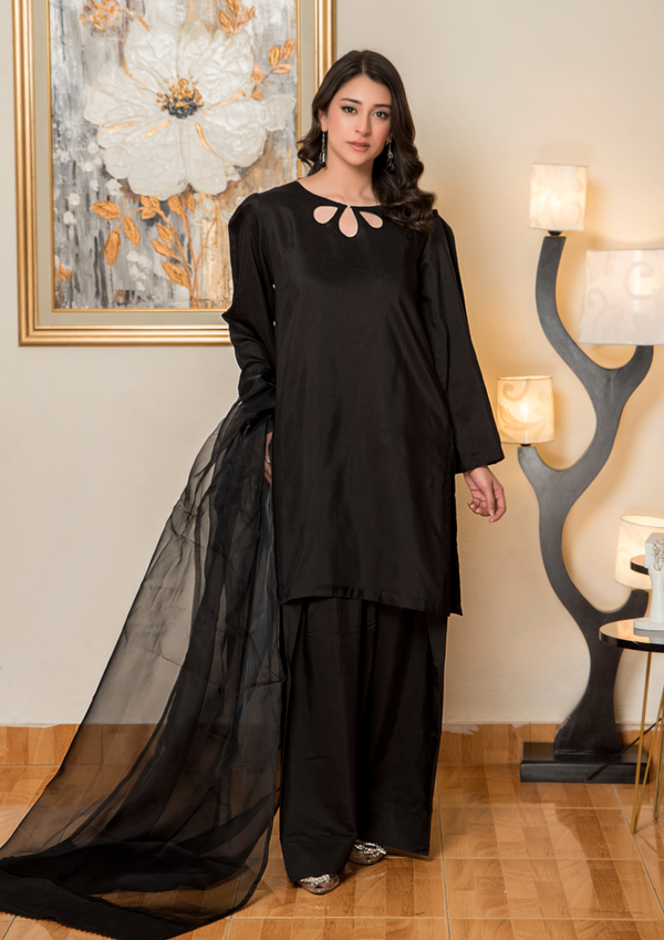3 Piece Stitched Ladies Dress