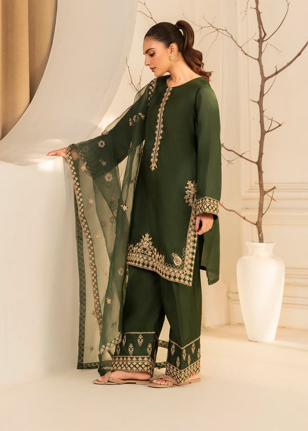 3 Piece Stitched Ladies Dress