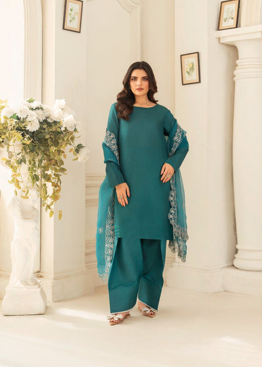 3 Piece Stitched Ladies Dress