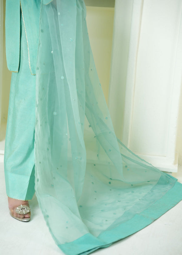 3 Piece Stitched Ladies Dress