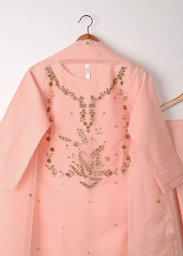 3 Piece Stitched Ladies Dress