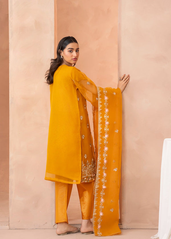 3 Piece Stitched Ladies Dress
