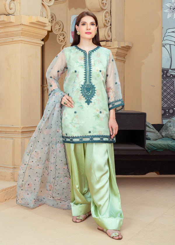 3 Piece Stitched Ladies Dress