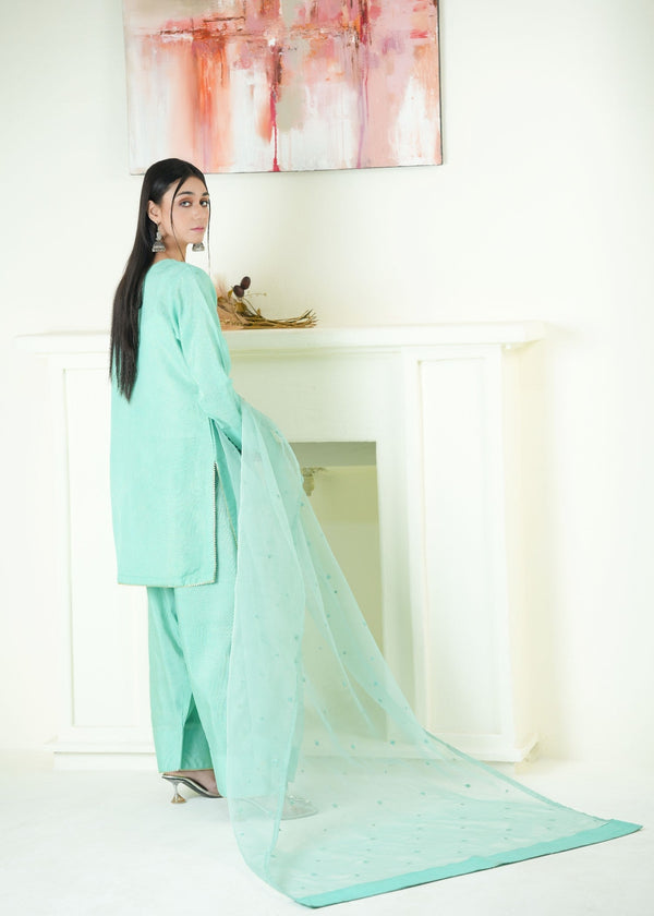 3 Piece Stitched Ladies Dress