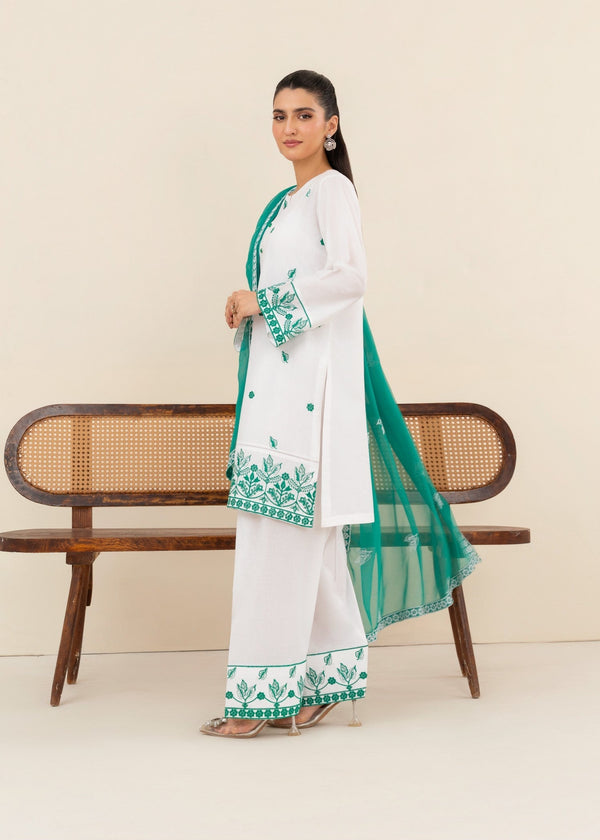 3 Piece Stitched Ladies Dress