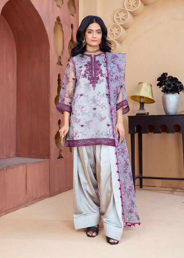 3 Piece Stitched Ladies Dress