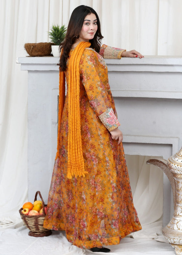3 Piece Stitched Ladies Dress