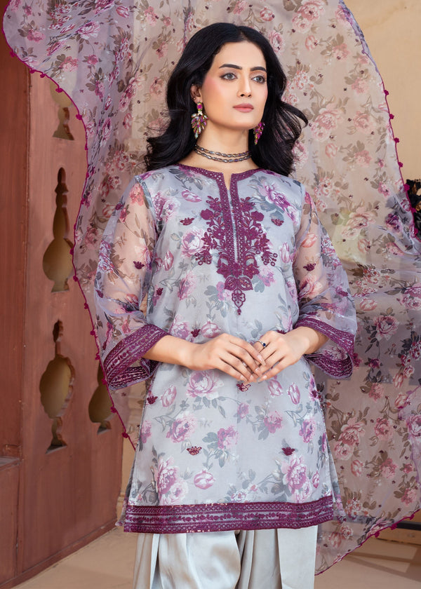 3 Piece Stitched Ladies Dress