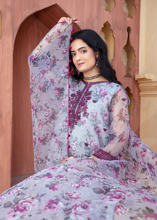 3 Piece Stitched Ladies Dress