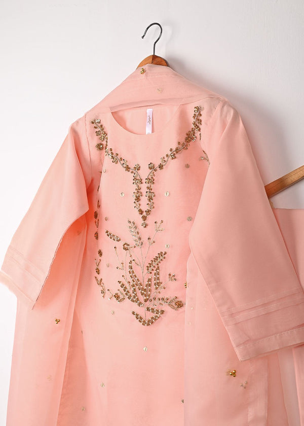 3 Piece Stitched Ladies Dress