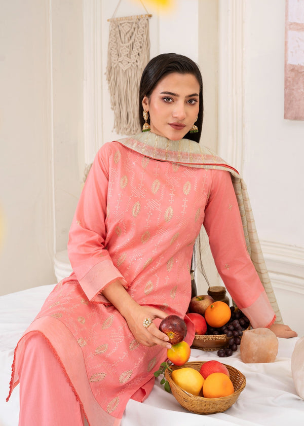 3 Piece Stitched Ladies Dress