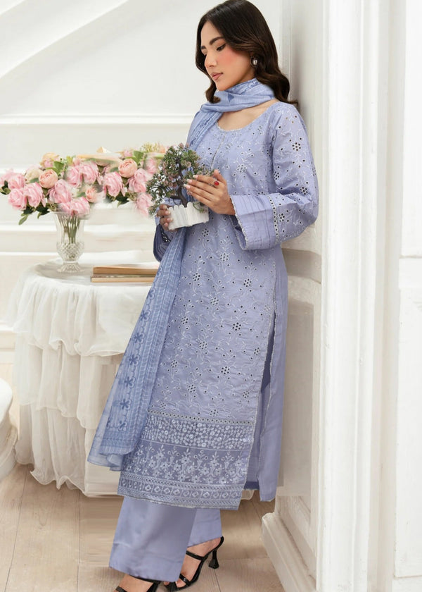 3 Piece Stitched Ladies Dress
